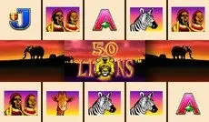 50 Lions