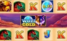 Wolf Gold
